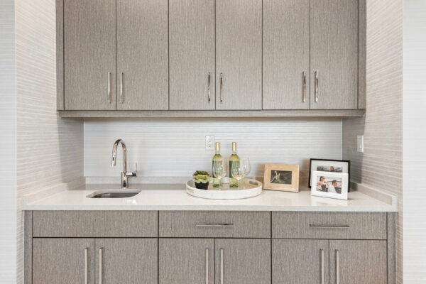 APX 505 Lynx wet bar