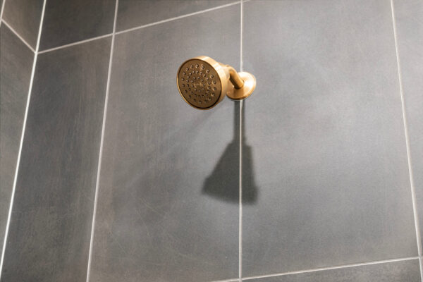 APX 507 Polaris PBA2 showerhead